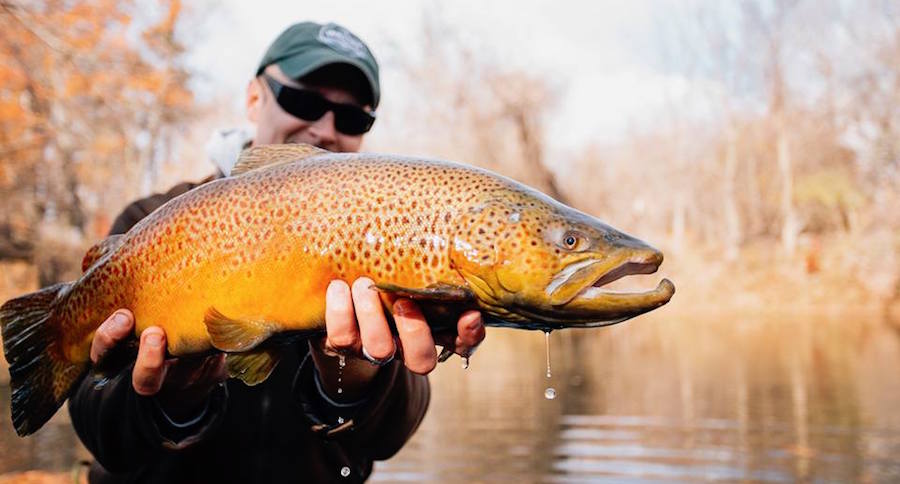 10 great public access fishing spots on Michigan's Pere Marquette