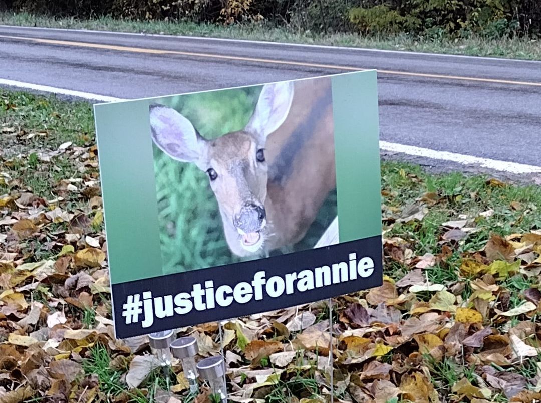 Police Officer Kills Pet Deer, Town Now in Turmoil Over the Incident