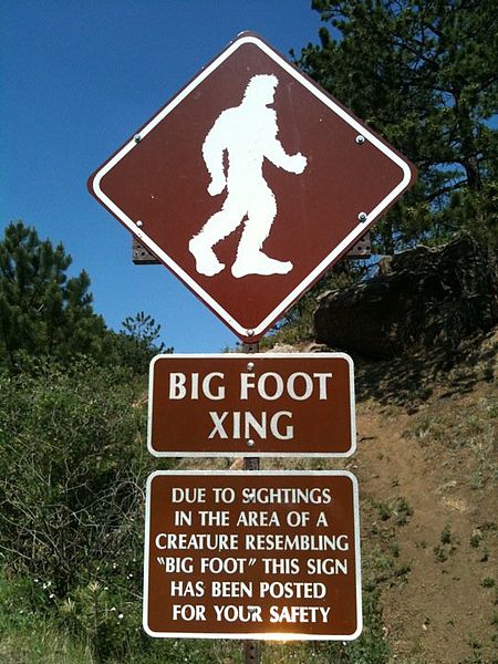 Camper Shoots at Bigfoot in Mammoth Cave National Park