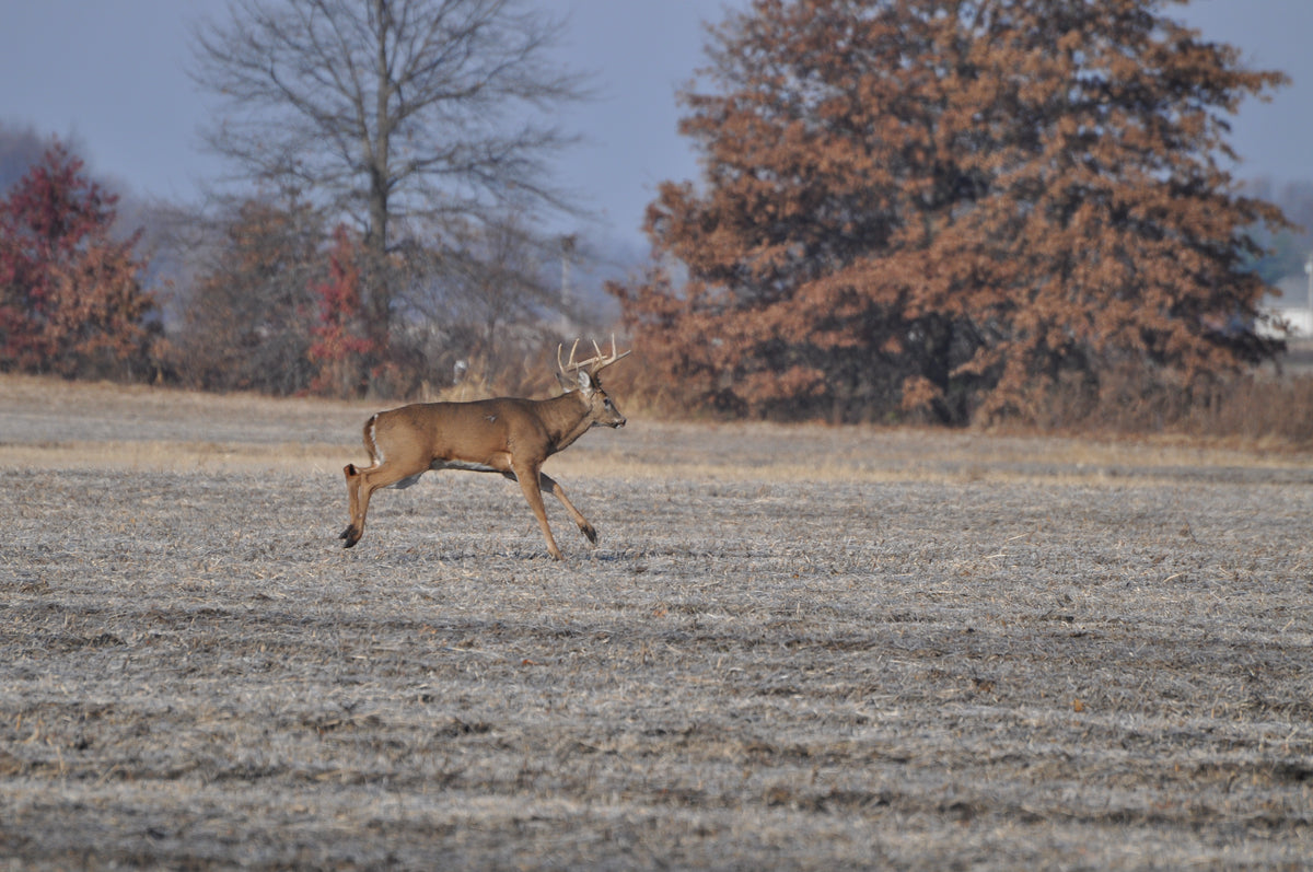 peeing while deer hunting